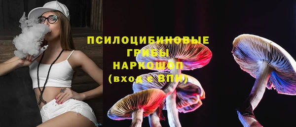 спиды Аркадак