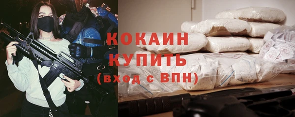 трава Арсеньев