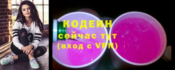 трава Арсеньев