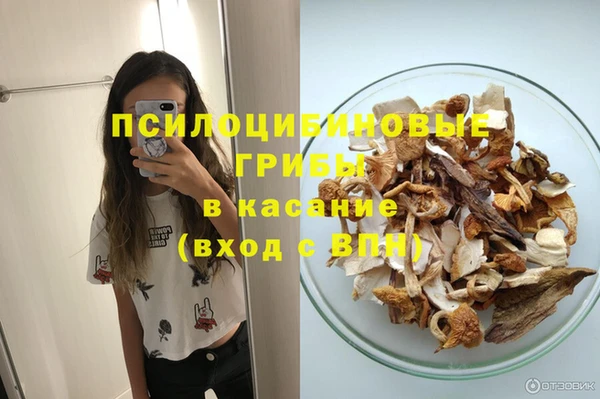 гашик Армянск