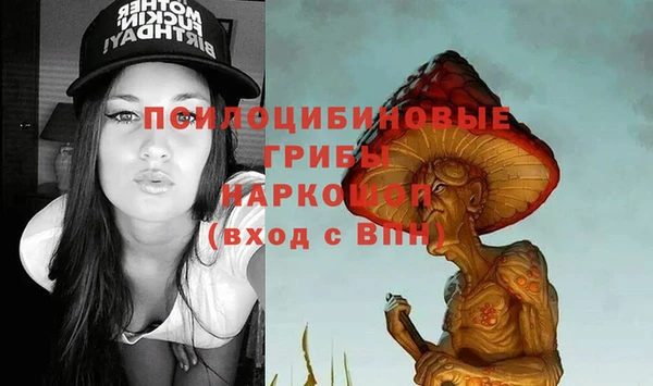 гашик Армянск