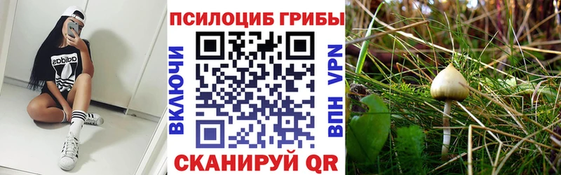 shop клад Красный Кут Псилоцибиновые грибы прущие грибы